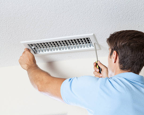 Trusted Leisure Village West, NJ Mold Removal Experts