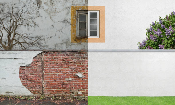  Leisure Village West, NJ Mold Removal Pros