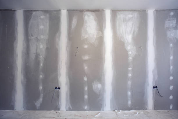 Best Biohazard Mold Removal  in Leisure Village West, NJ